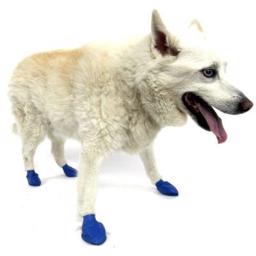 Pawz Dog Boots slidstærke Flexible Gummi Hundesko MEDIUM Blue